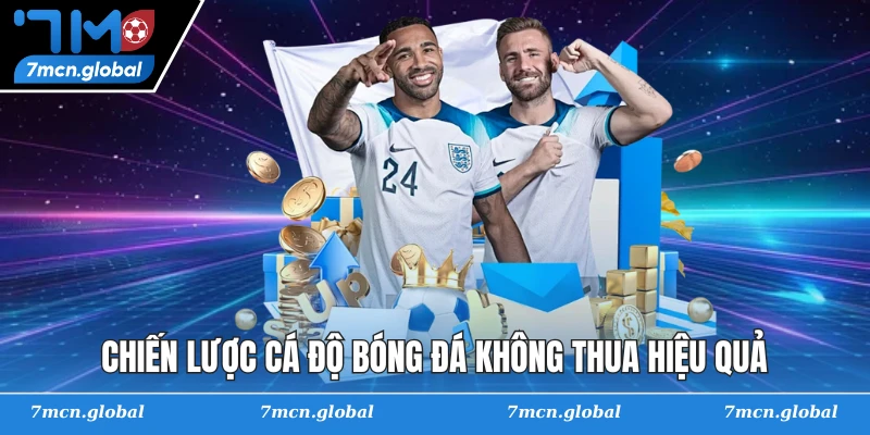 Chiến lược cá độ bóng đá không thua hiệu quả