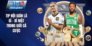 Tip nội gián là gì